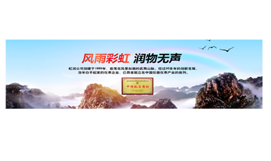 不經(jīng)風雨何以見彩虹——在虹潤圓夢助學行動座談會上的講話